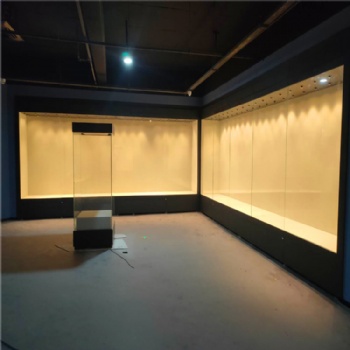 博物館沿墻展示柜【通柜】制作廠家