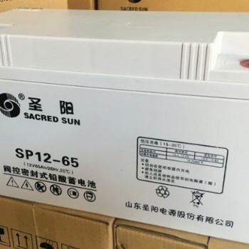 山東圣陽蓄電池SP12-65 廠家** 圣陽12V6**H UPS電源專用 鉛酸免維護蓄電池