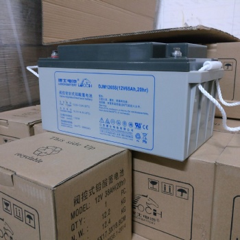 理士蓄電池代理-DJM1265-12v6**h**h100ah