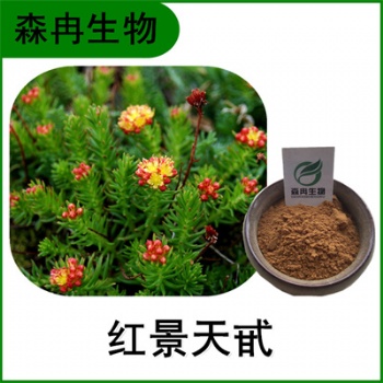 森冉生物 紅景天** 紅景天甙 廠家現貨供應