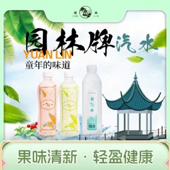 園林牌橙味白白檸檬味汽水經典蘇州口味汽水童年味道