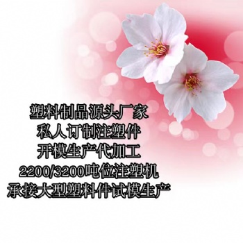 濟南市塑料制品生產定制注塑廠家
