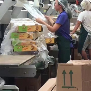 食品廠普工加工員出國勞務加盟正規工簽月薪3萬