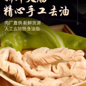 豬大腸新鮮少油免洗肥腸冷凍商用半成品