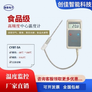 CYBT-**便攜式手持中心溫度計(jì)果心溫度計(jì)探針溫度計(jì)熱力供熱專用定制