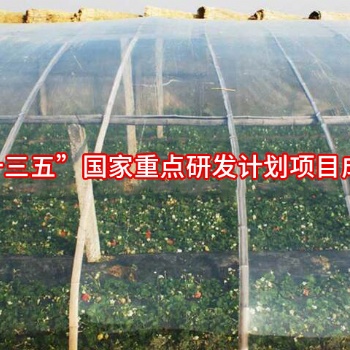 PO膜系列--光能寶2號漫散射高光效涂覆膜簡介