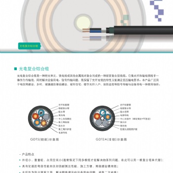 天誠光電復合綜合纜，蘇州愛普特