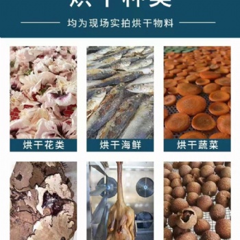 菊花熱泵空氣能烘干機