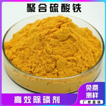 江西龍巖聚合硫酸鐵相關信息