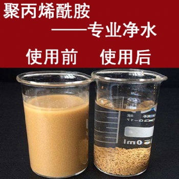 聚丙烯酰胺陰離子 污水處理藥劑 廠家直發(fā) 國標純度高