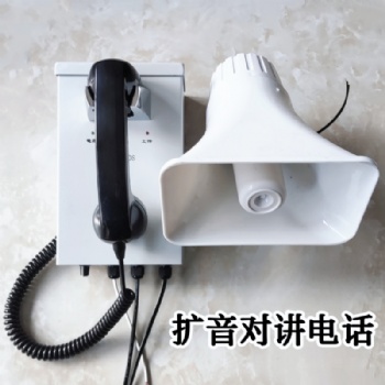 無主機全呼廣播呼叫對講系統(tǒng)HYDJ200DS