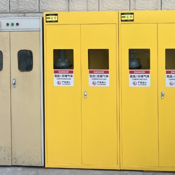 廠家** 安全氣瓶柜 全鋼樣品柜 器皿柜 pp通風(fēng)柜