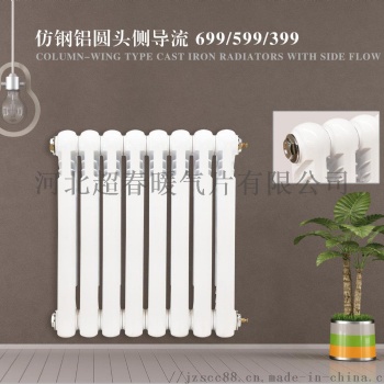 鑄鐵圓頭側倒流散熱器 優質噴塑 耐用環保