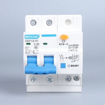 DZ47LE-63漏電保護器1P+N2P家用漏電斷路器6~6**現貨