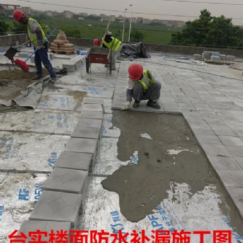 廣州臺實補漏服務公司，**公司，20年裝修補漏公司