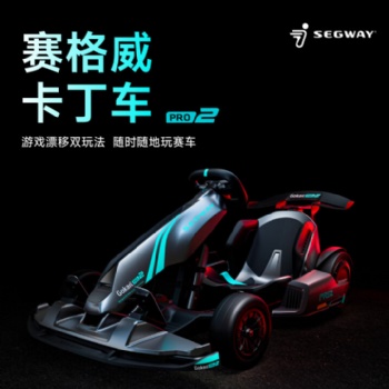 九號（Ninebot）賽格威電動卡丁車PRO2