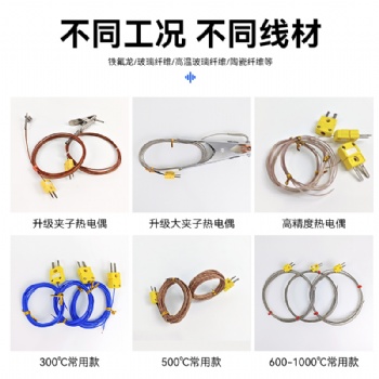 雷恩爐溫測試儀：精準捕捉爐內溫度的工業利器